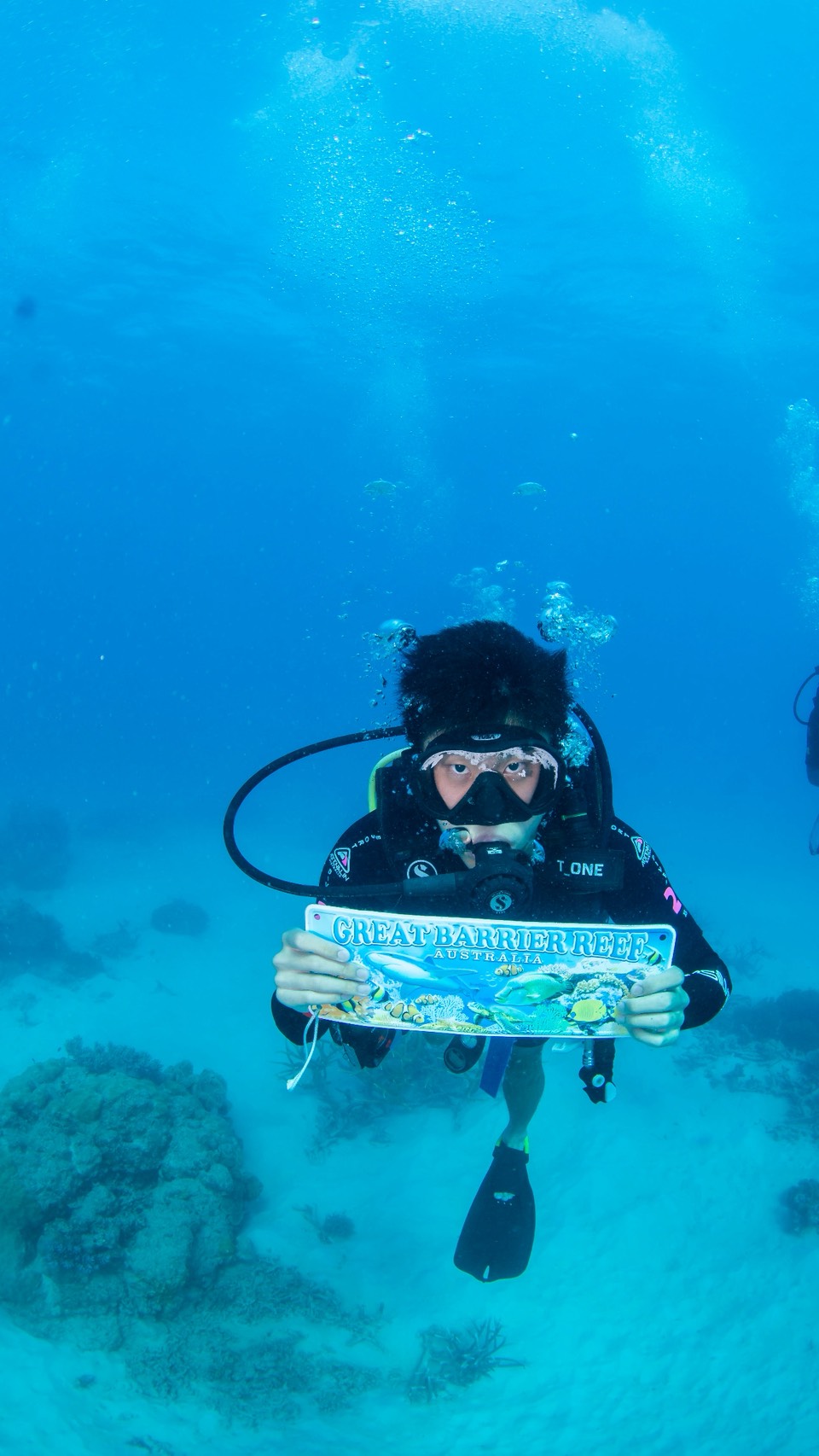 Hua Chen diving